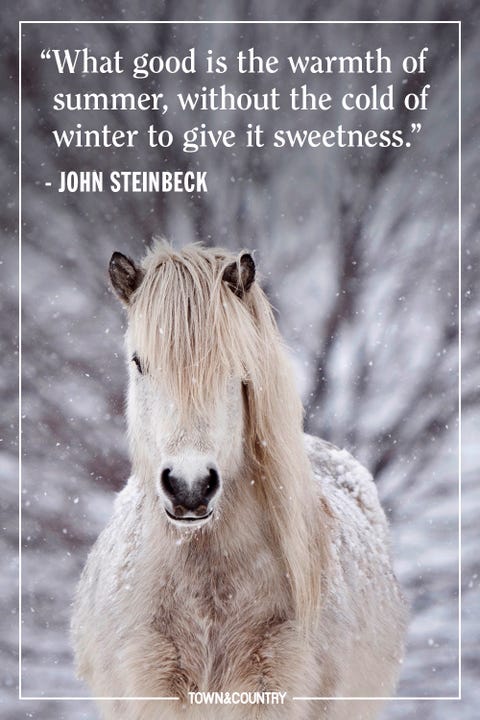 30 Best Winter Quotes - Cute Sayings About Snow & The Winter Season