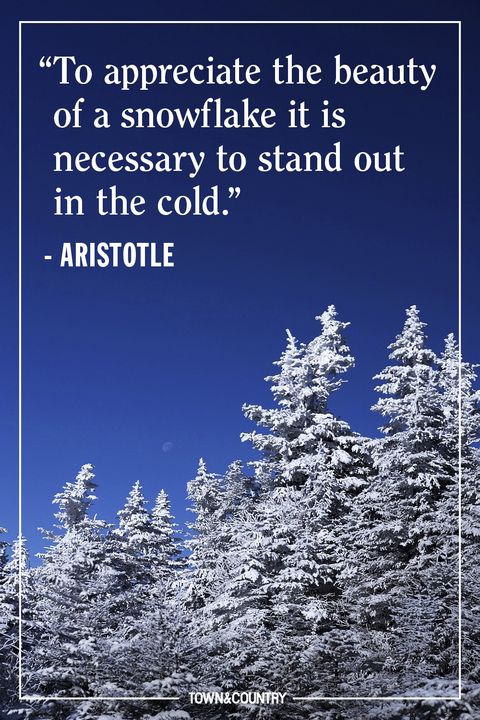 22 Best Winter Quotes Cute Sayings About Snow The Winter Season
