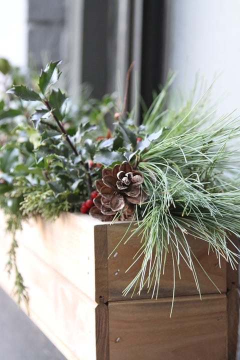 holiday window boxes