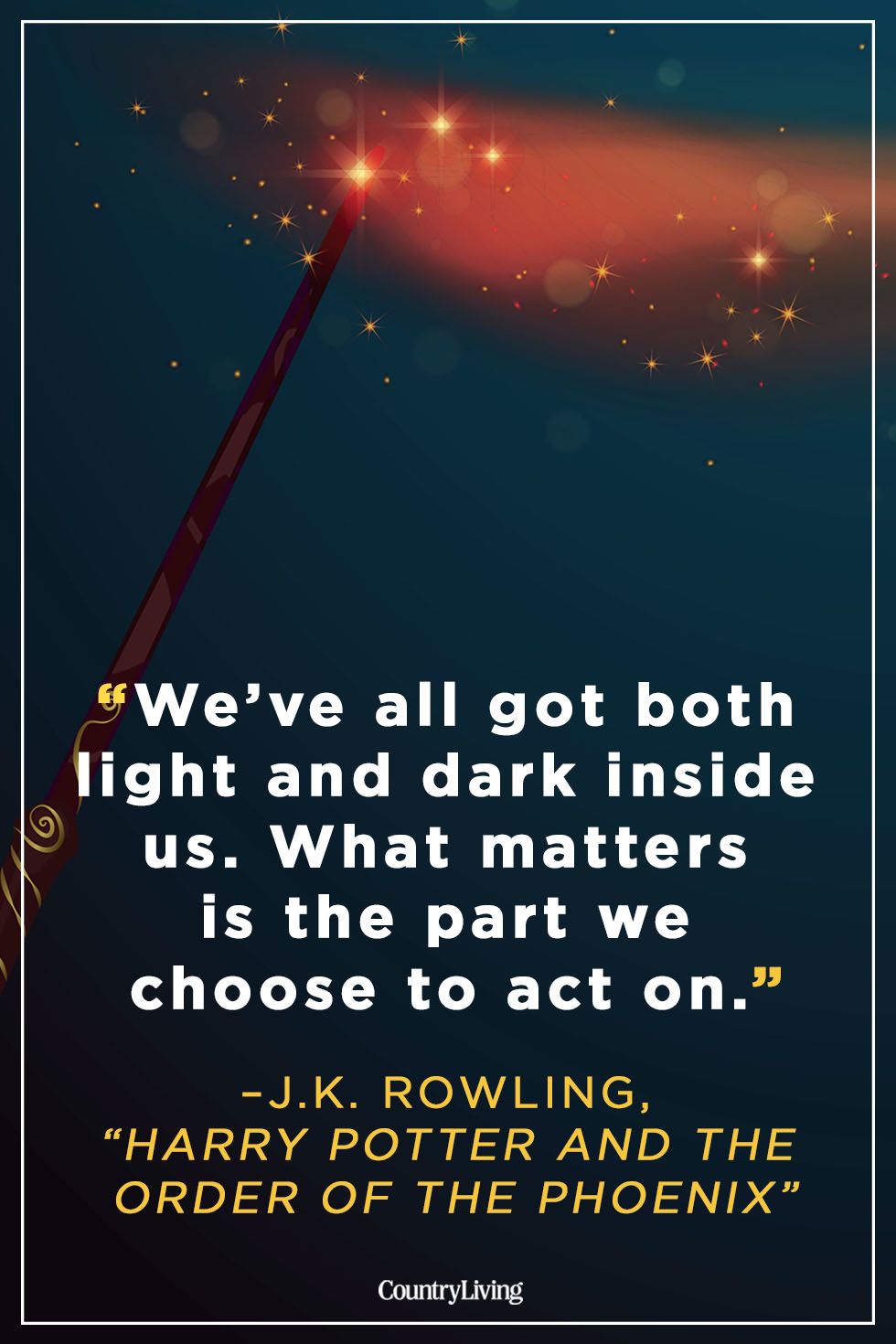 harry potter order of the phoenix quotes