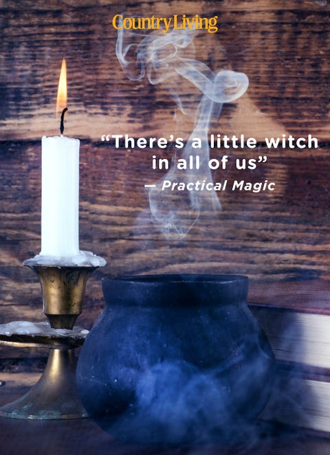 witch quotes the love witch