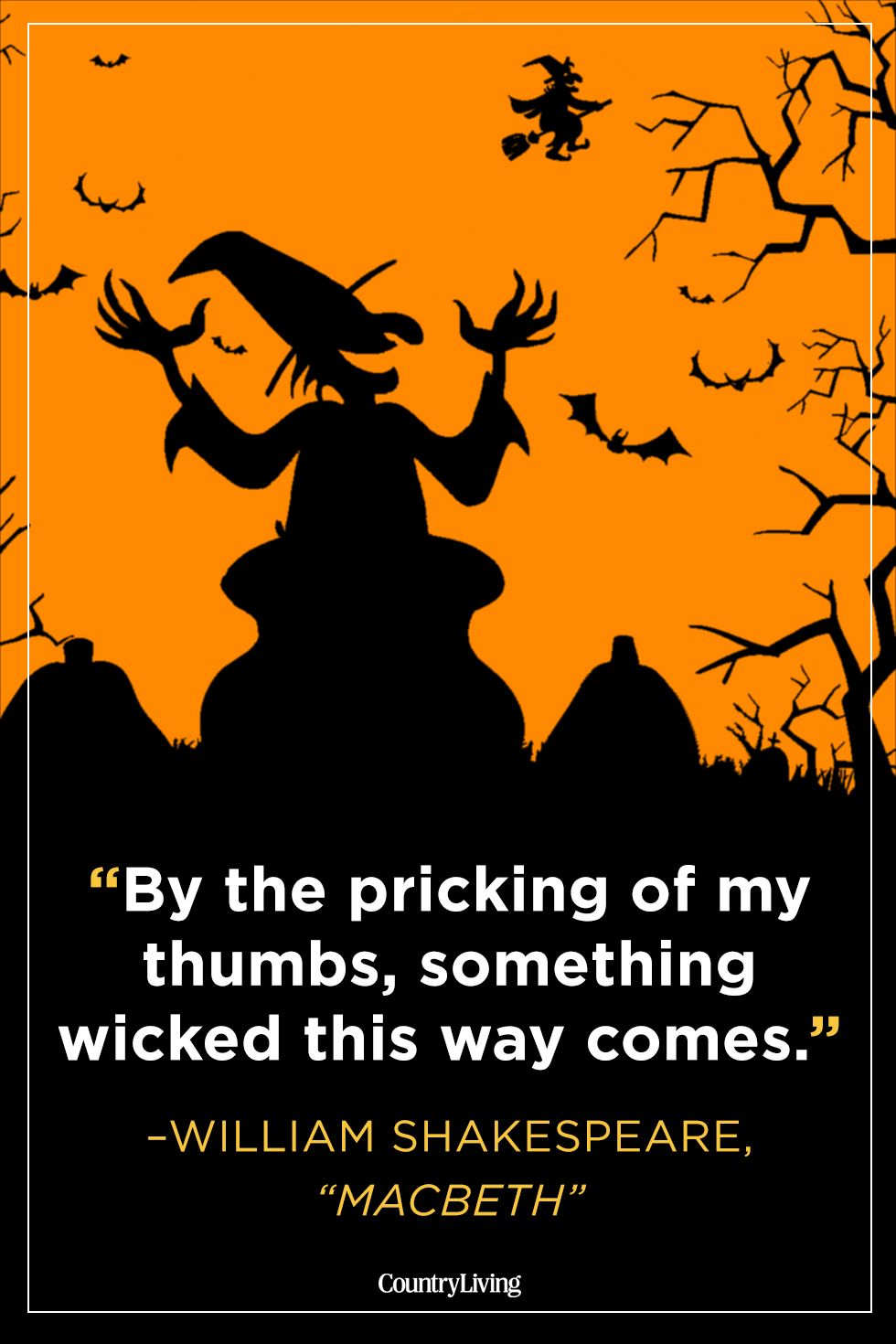 25 Witch Quotes Quotes And Sayings About Witches