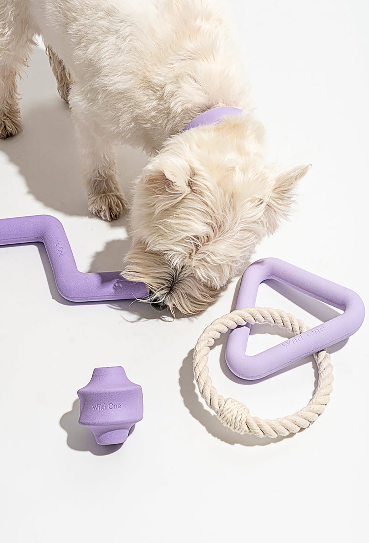 愛犬・愛猫が喜ぶ、おしゃれなペット用品【2022年最新】｜ELLE DECOR [エル・デコ]