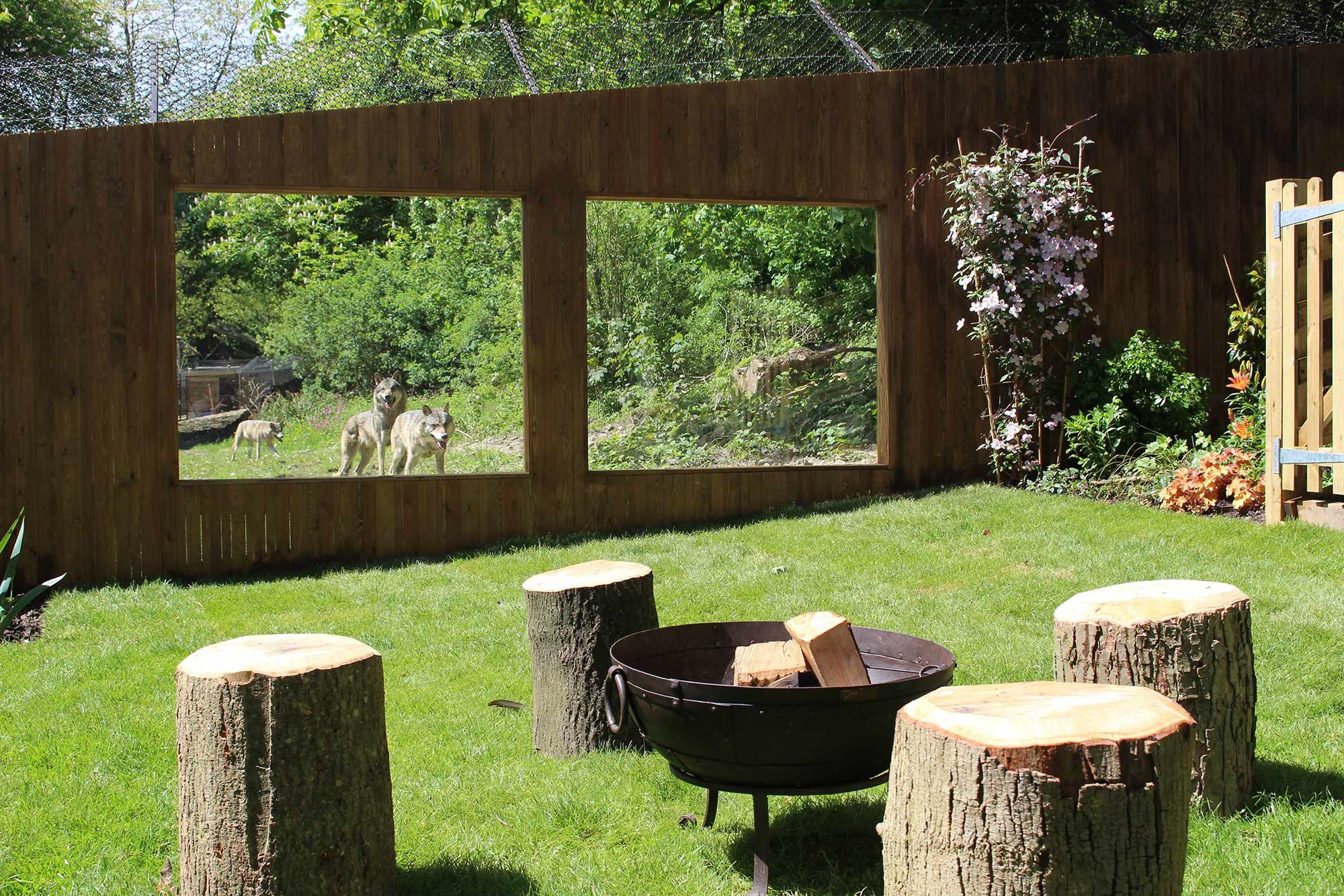 Run With Wolves In This Unique New Hotel Experience