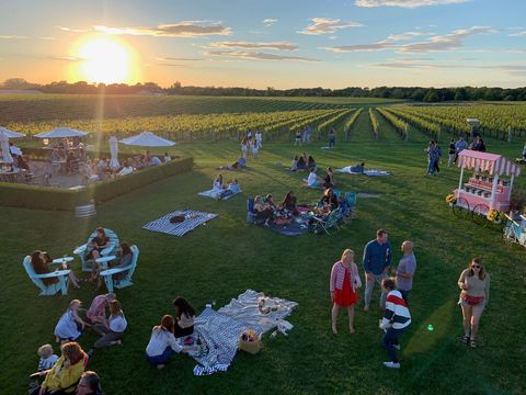 families drinking and playing alongside grape vineyards at wolffer estate in the hamptons