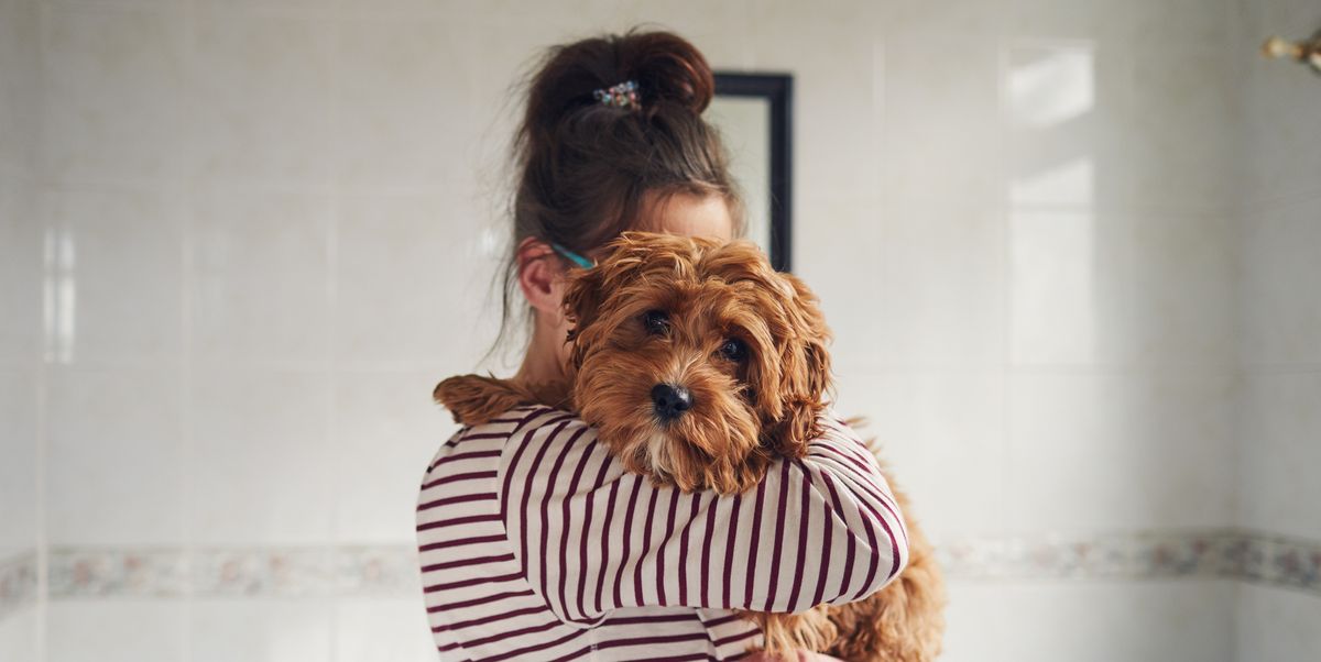 Scientists find that dogs are really a girl's best friend – here's why 