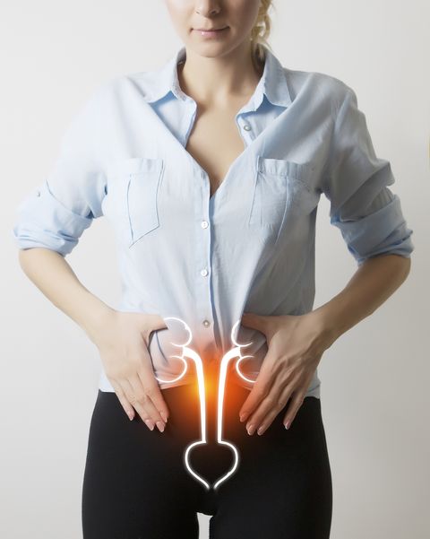 woman figure with visualisation of kidneys and bladder
