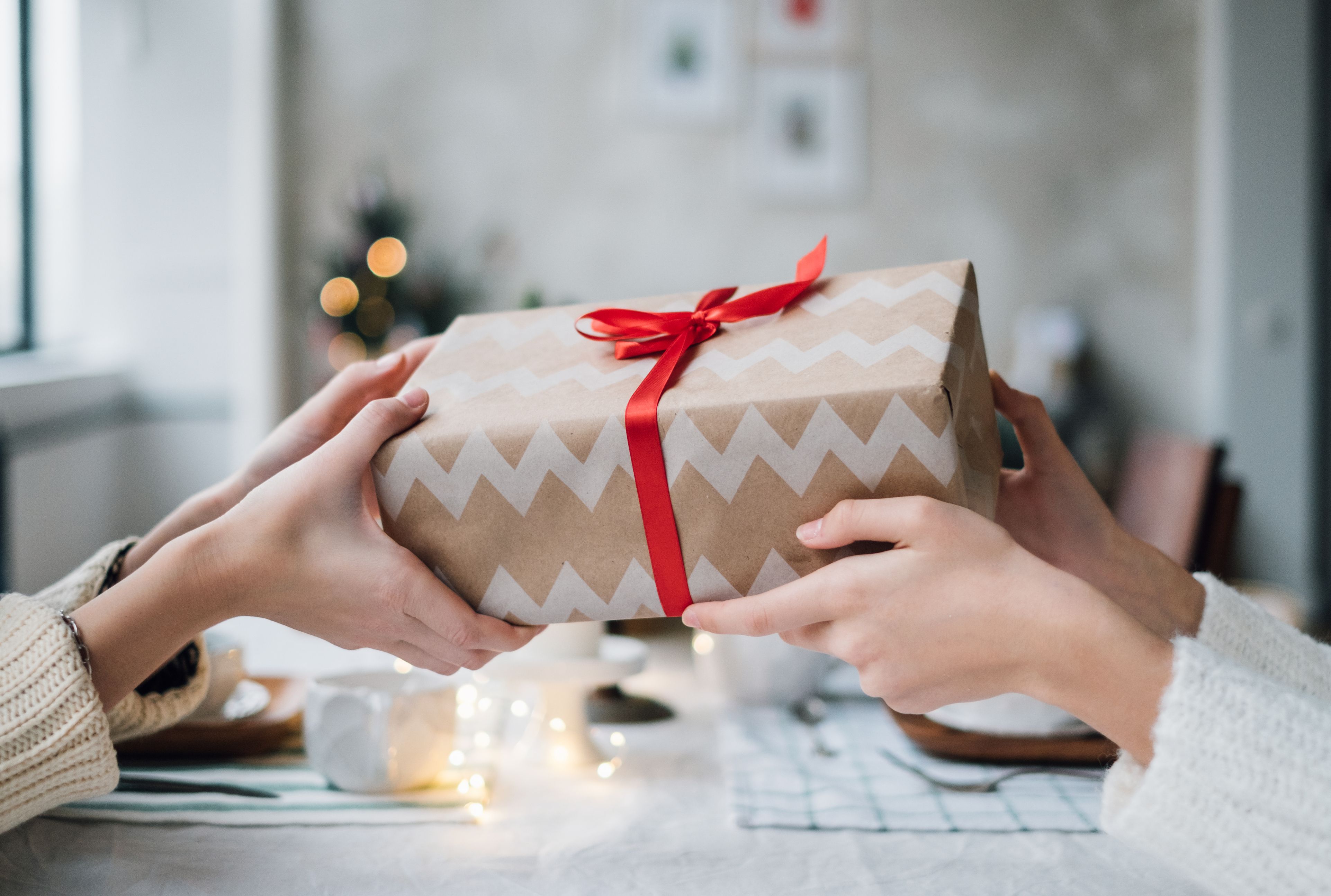 Holiday Giving - 6 Stories to Inspire You to Donate Time or Money
