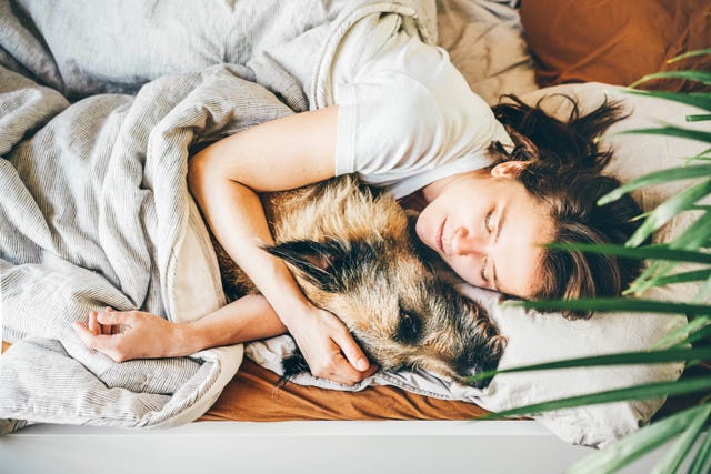 昼寝をしたら睡眠不足は補えるの 定期的な昼寝に効果がない理由とは