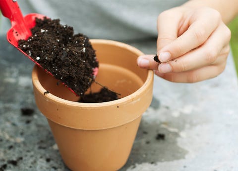 Woman planting pot 