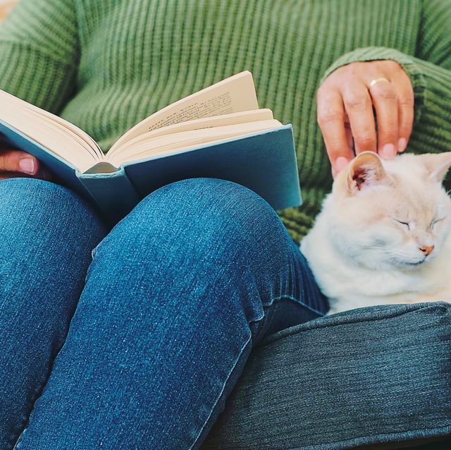 woman reading anxiety book with cat