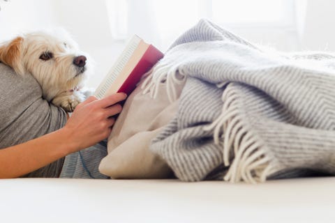 Woman reading in bed with dog