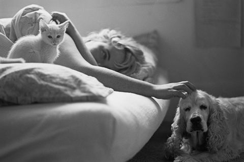 Woman relaxing in bed with her pets