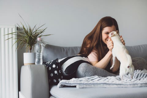 woman resting on the sofa playing with her dog