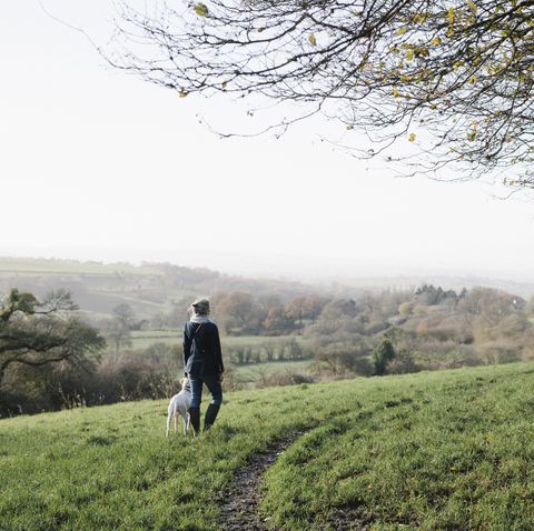 A woman walking with a dog on high ground overlooking the countryside.
