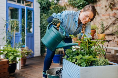una mujer riega unas plantas en su terraza