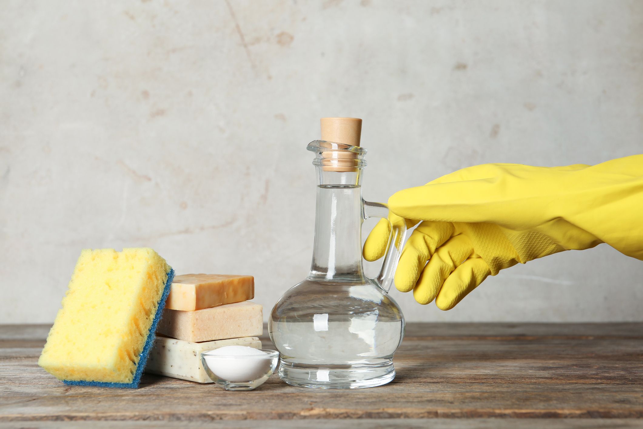 cleaning snake cage with vinegar