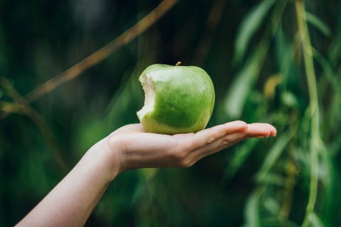 ¿Puedo comer manzanas en la dieta cetosis?