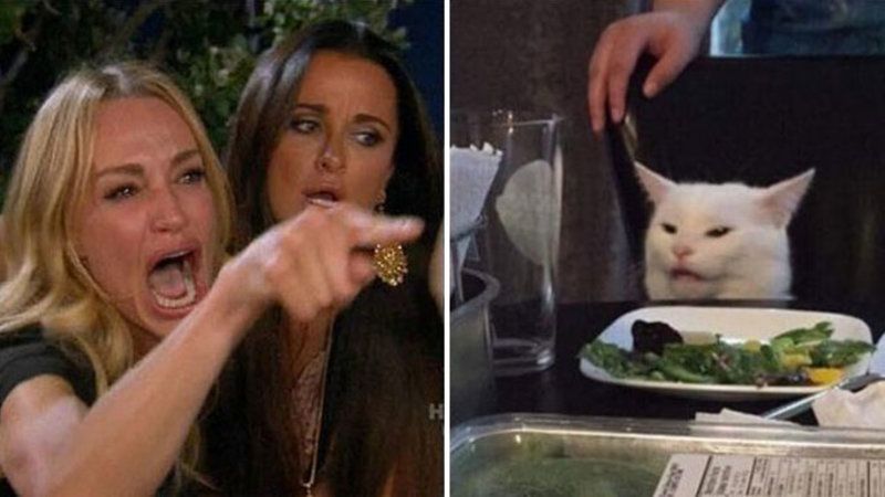 The 'Woman Yells At Cat' Meme, Explained