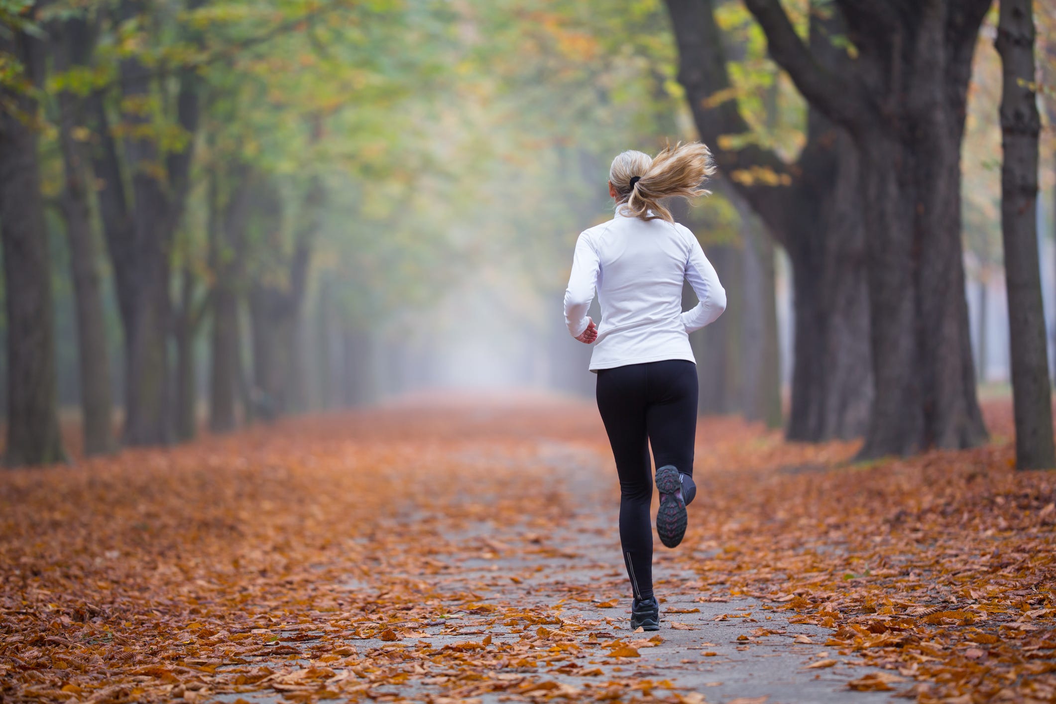 This Cozy Playlist Will Get You in the Autumn Spirit