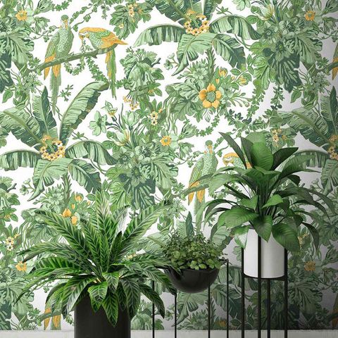 Woodchip & Magnolia Parrot Talk Lush Green wallpaper