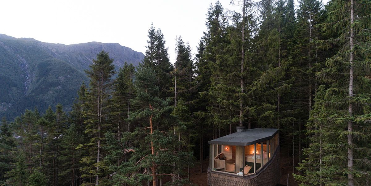 Una casa de madera en un árbol para ver los fiordos de Noruega
