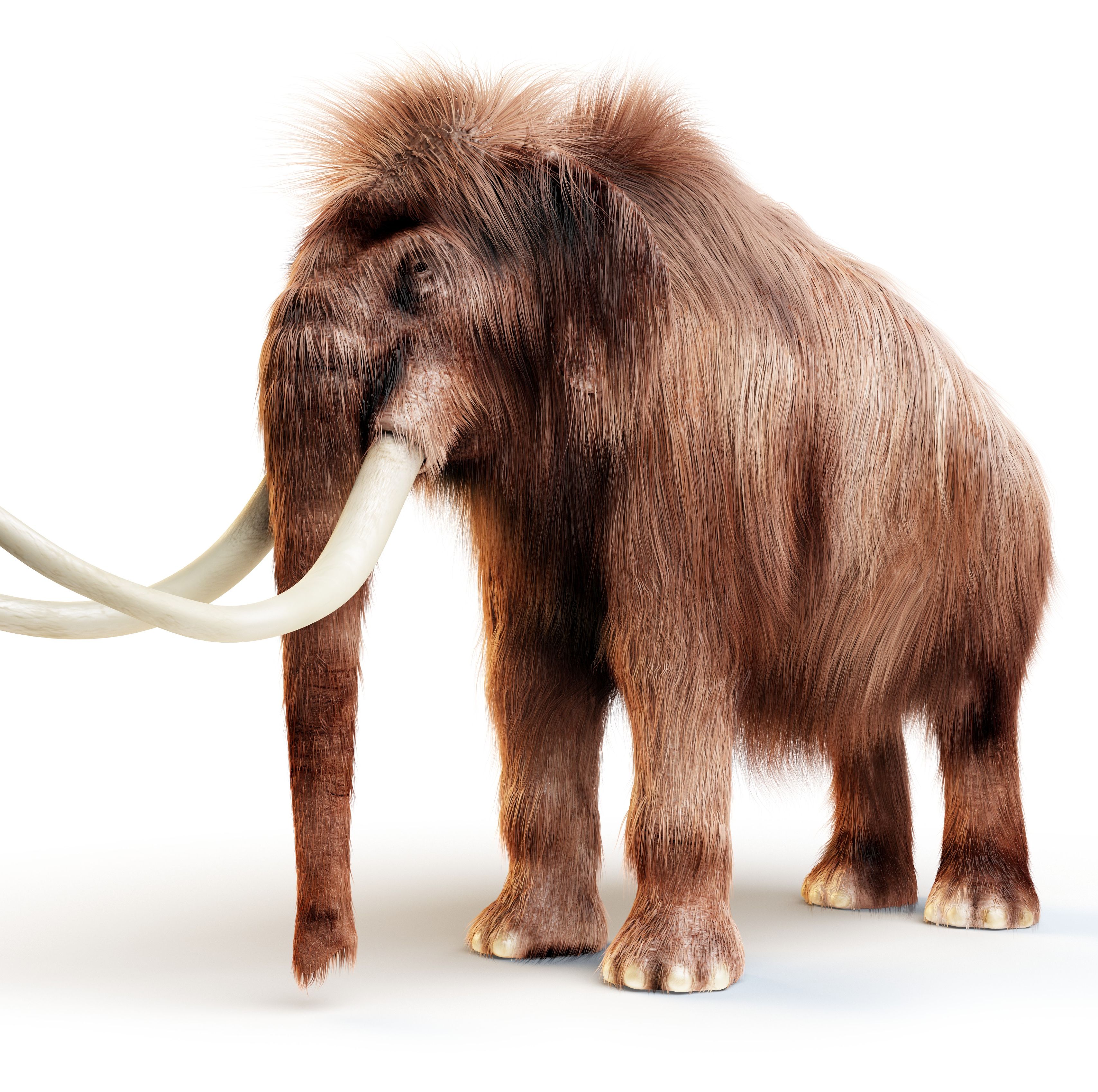 Scientists Said They'd Resurrect the Woolly Mammoth by 2027. They're Really Close.