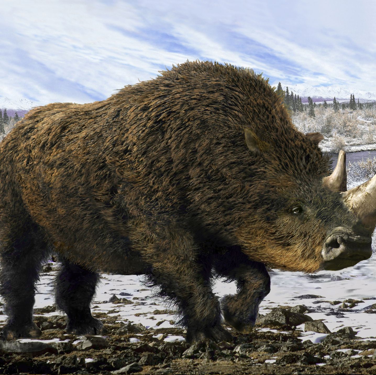 Scientists Extracted Woolly Rhino DNA From Hyena Poop. That's Remarkable.