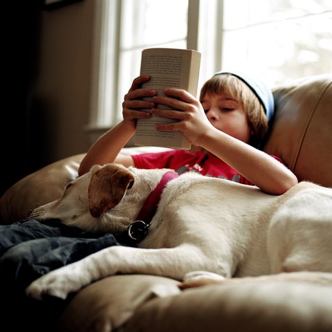 how to work from home with kids young boy sitting on a couch reading with his dog