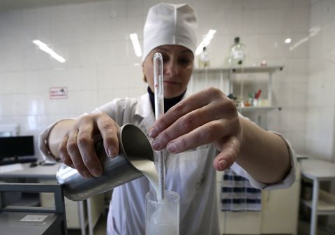 condensed milk production at rogachev milk canning plant