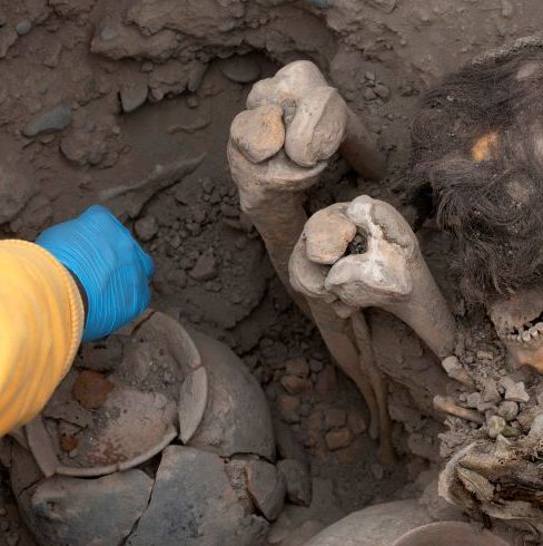 A 1,000-Year-Old Mummy Just Showed Up in Peru With a Full Head of Hair