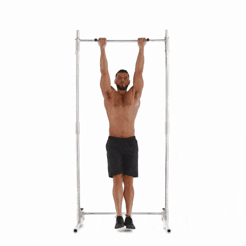 which is an lat pulldown alternative exercises