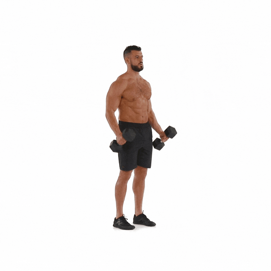 Hammer curl dumbbell How to