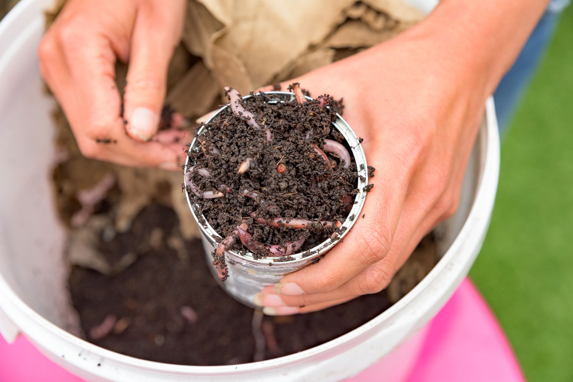 can dog poop go in worm farm