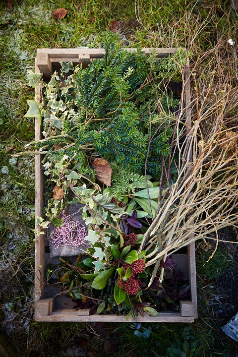 how to make a christmas wreath