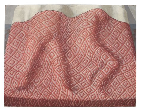 domenico gnoli due dormienti, 1966
acrilico e sabbia su tela collezione privata