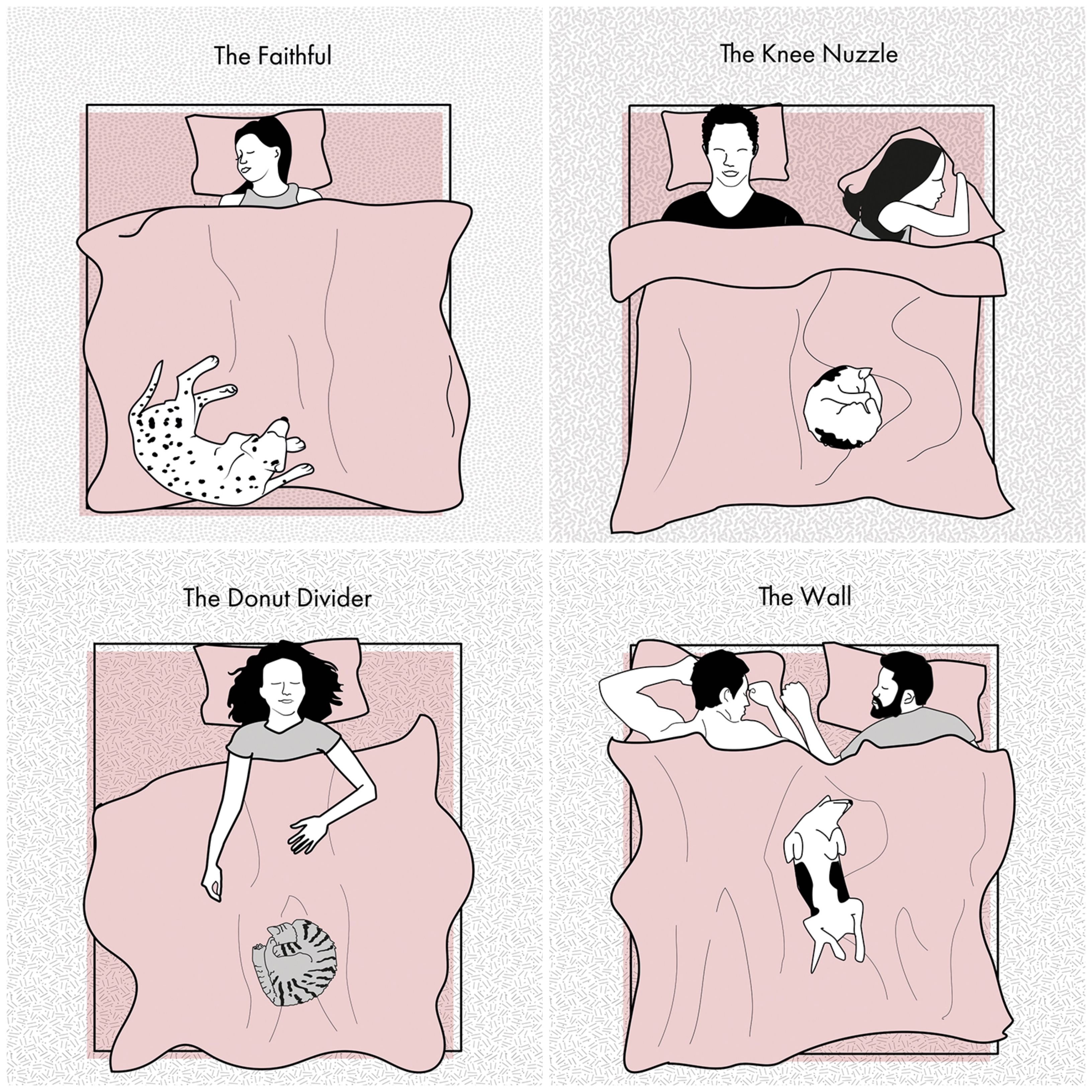 ways dogs sleep