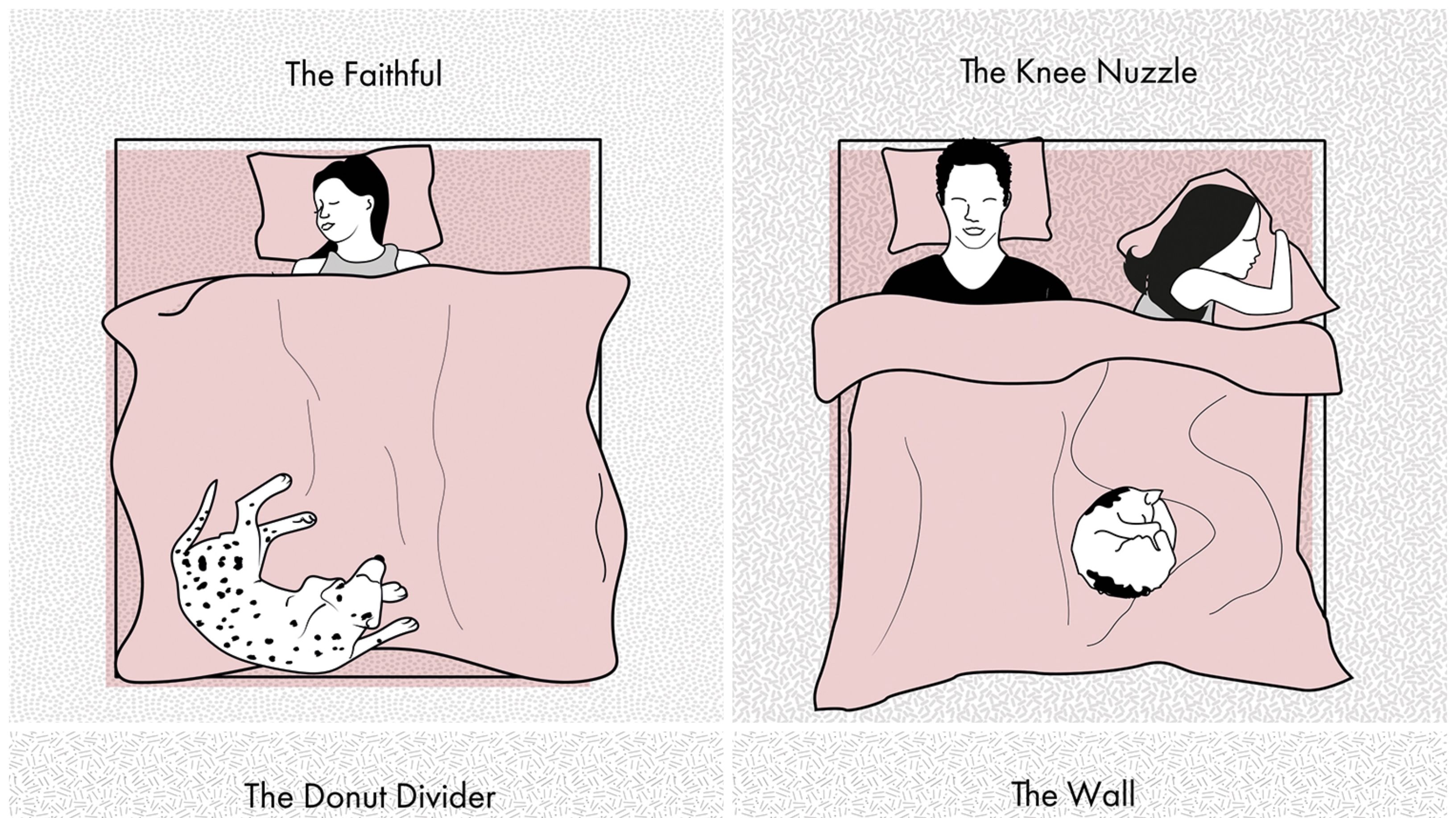 why do dogs sleep on your feet