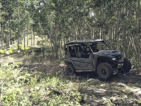 four seat yamaha wolverine on a trail