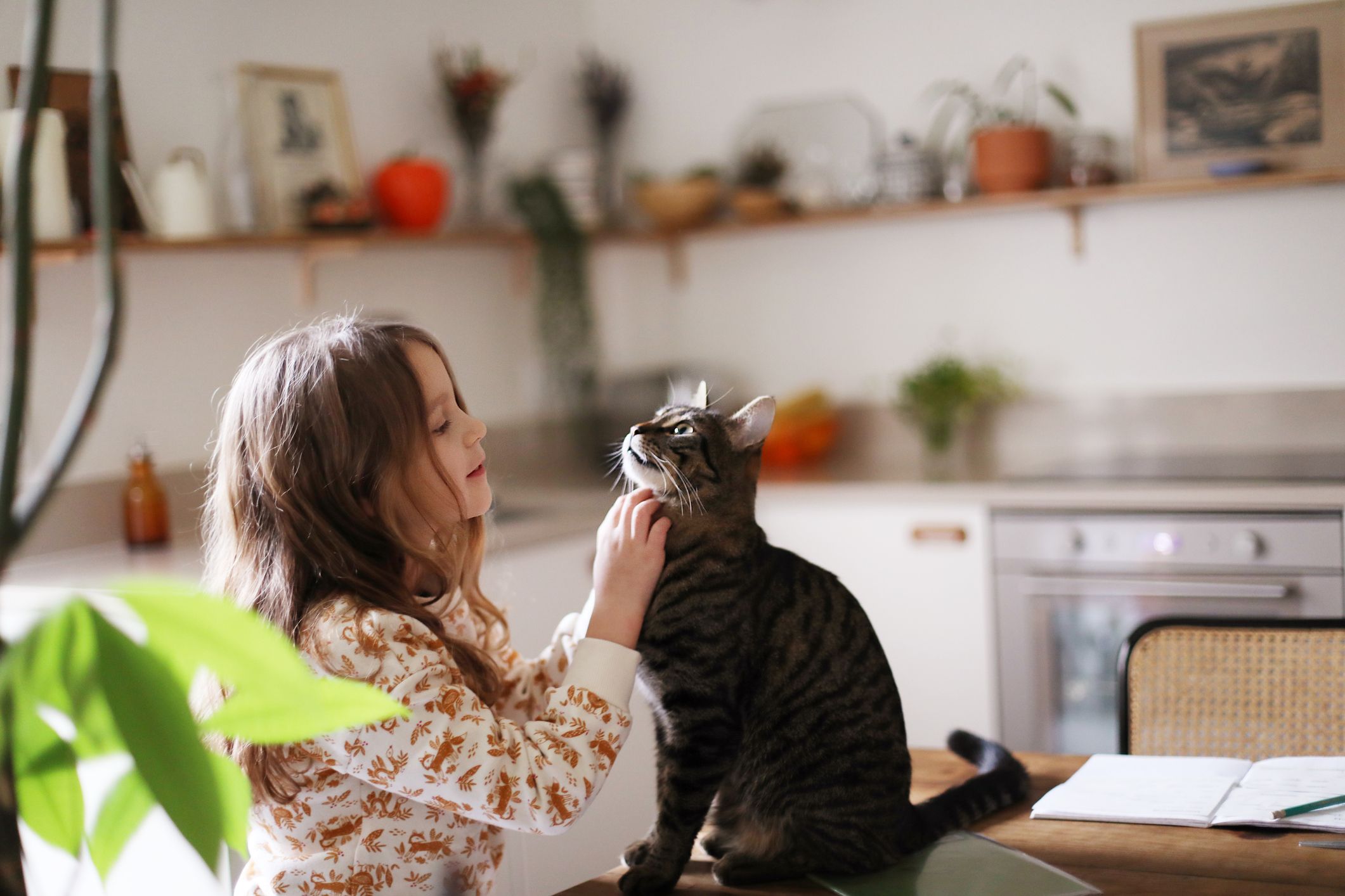 獣医が指南！子どもがいる家庭で飼いやすいペットの種類7選