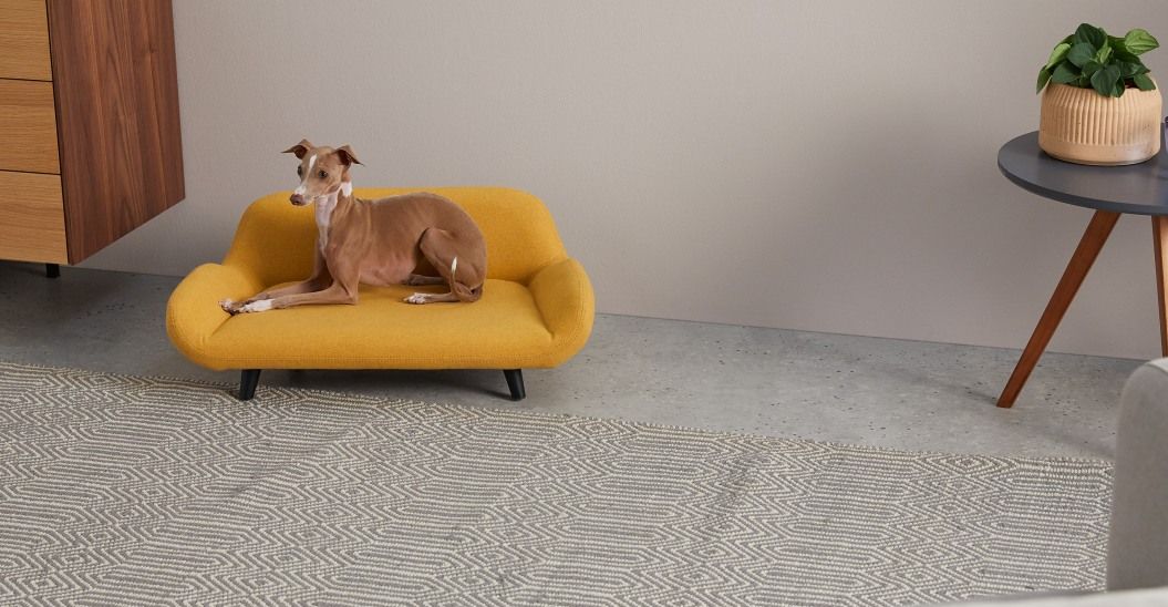 Stylish Beds and Sofas for Pets