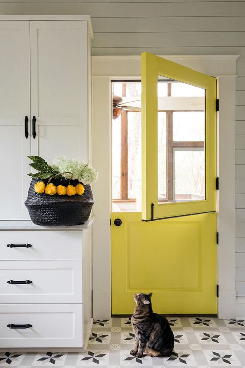 Yellow, Door, Room, Cat, Black cat, Home, Window, Home door, Interior design, Furniture, 