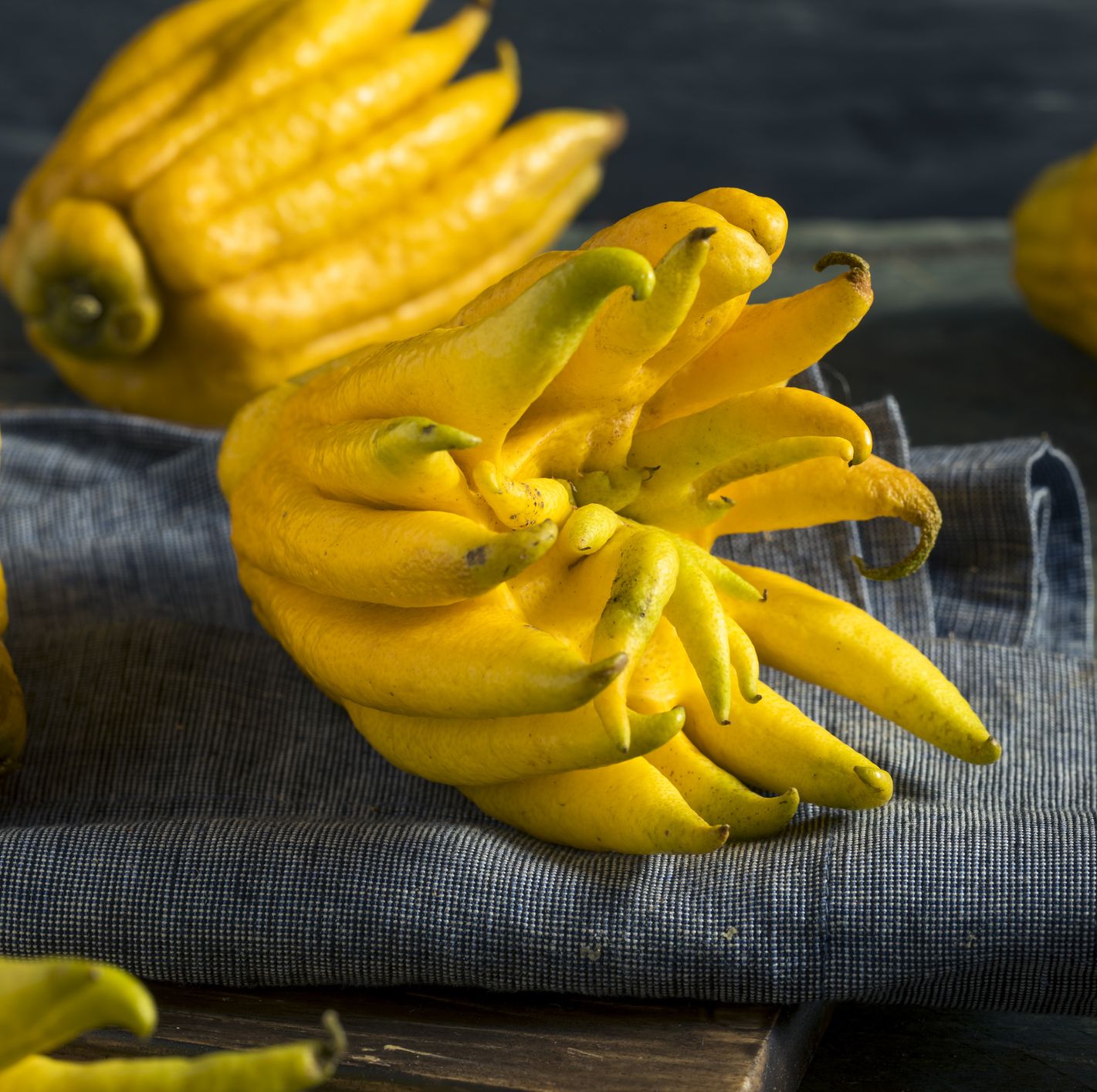 Buddha's Hand Is The Coolest Winter Citrus You've Probably Never Had