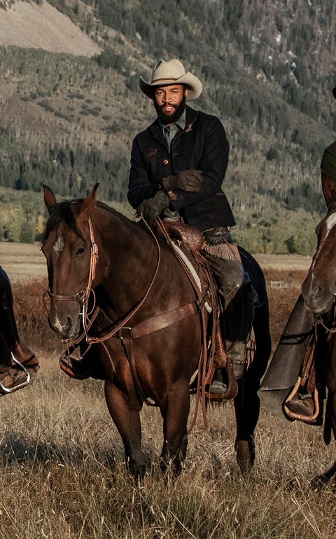 Yellowstone Cast - Yellowstone Show Season 2 Cast