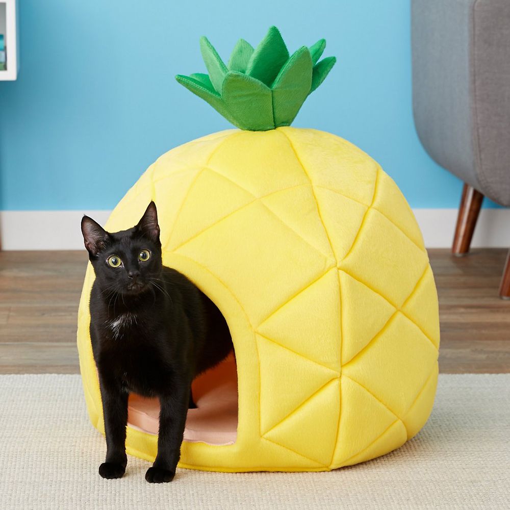 Your Pet Will Gravitate Towards This Summer Ready Pineapple Bed