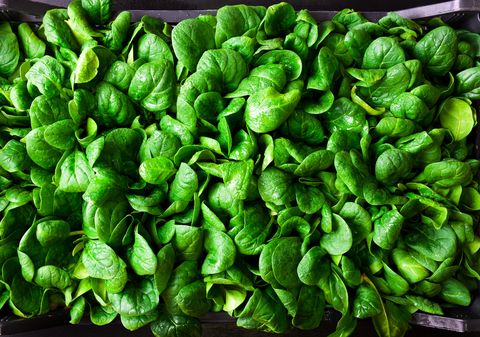 what to grown in november young baby spinach leaves in a box