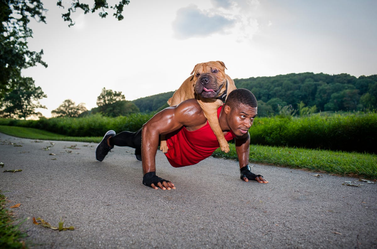 7 Exercises For At Home Workouts With Your Dog