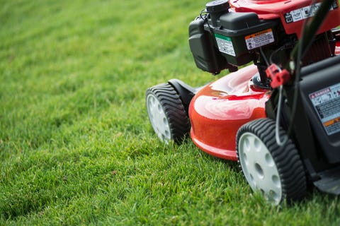 Types Of Lawn Mowers How To Buy The Right Lawn Mower