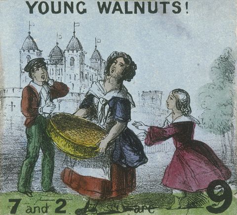 young walnuts ad