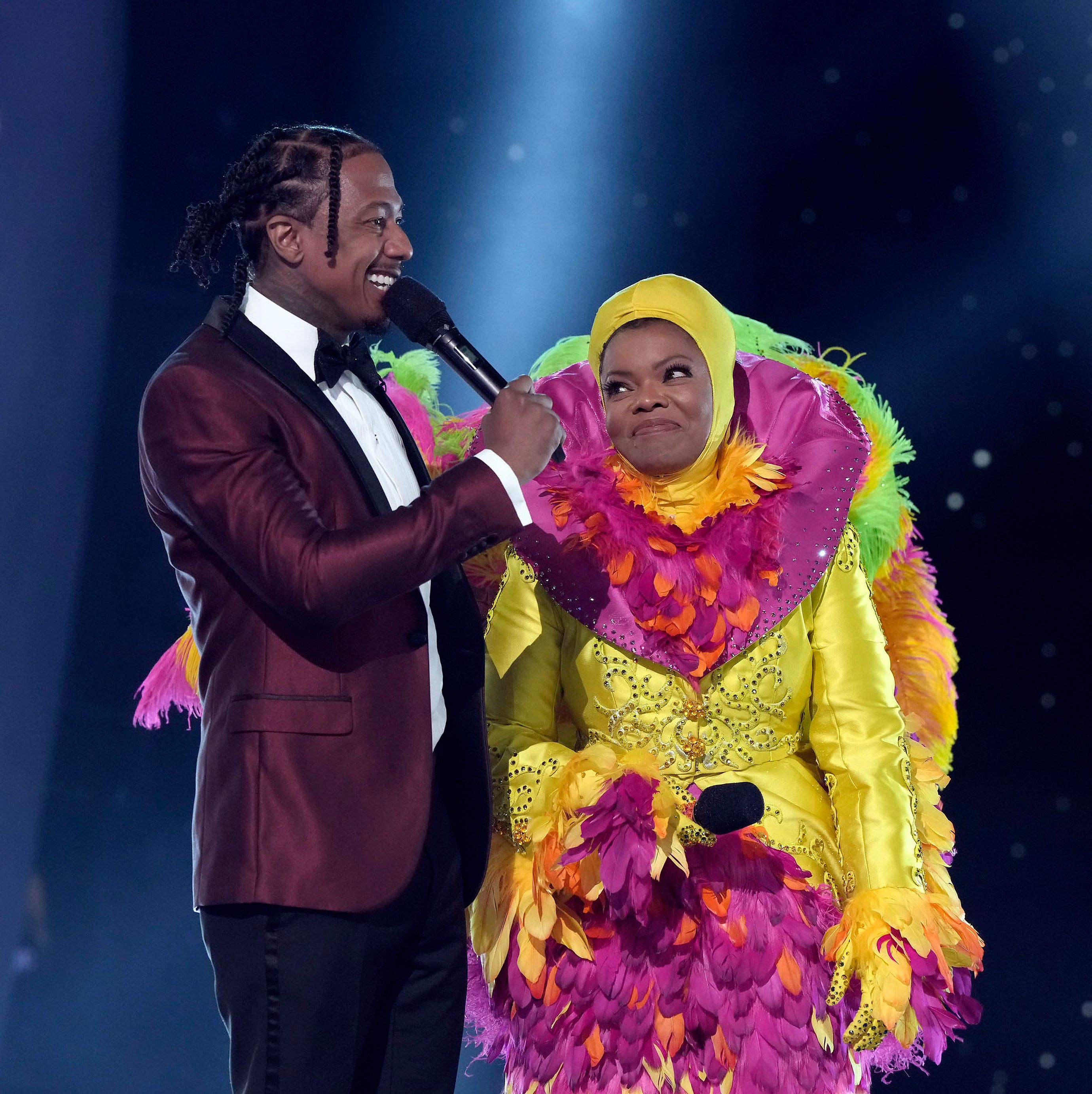 Every Celeb Who Has (Willingly) Suffered Through 'The Masked Singer'